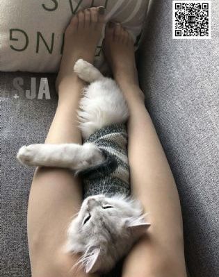 欧美欲望电影_手机在线看片