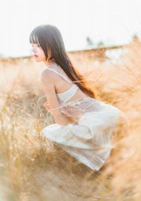 久久草草亚洲蜜桃臀_DVD在线观看完整版